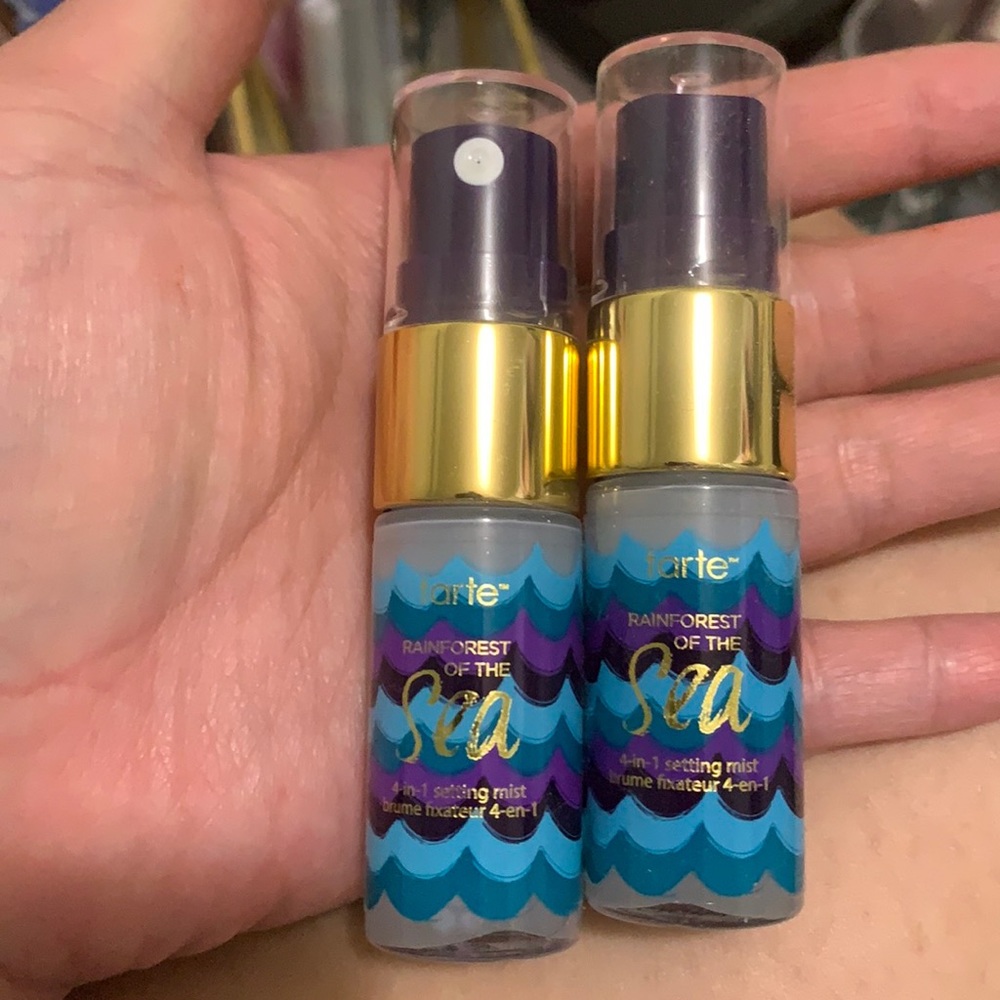 Tarte rainforest of the sea setting mist